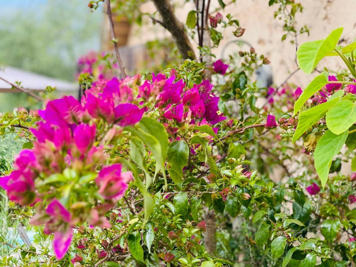 Bed and Breakfast Abeille Vence Exterior foto